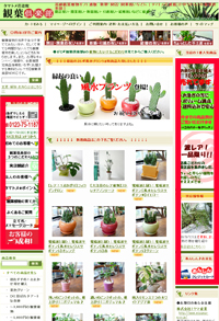 タマトメ花遊館　観葉倶楽部　さま